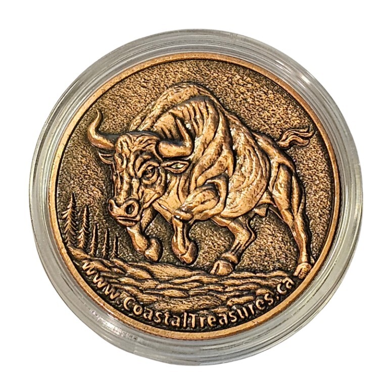 Bull & Bear – 1 oz .999 Fine Copper Round