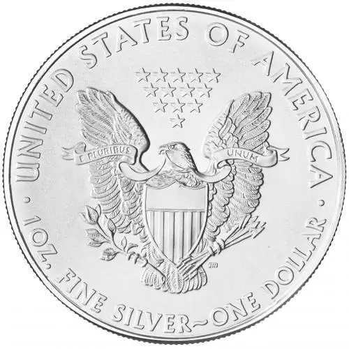 2010 Silver Bullion 1oz Eagle Gold Gilded Coin